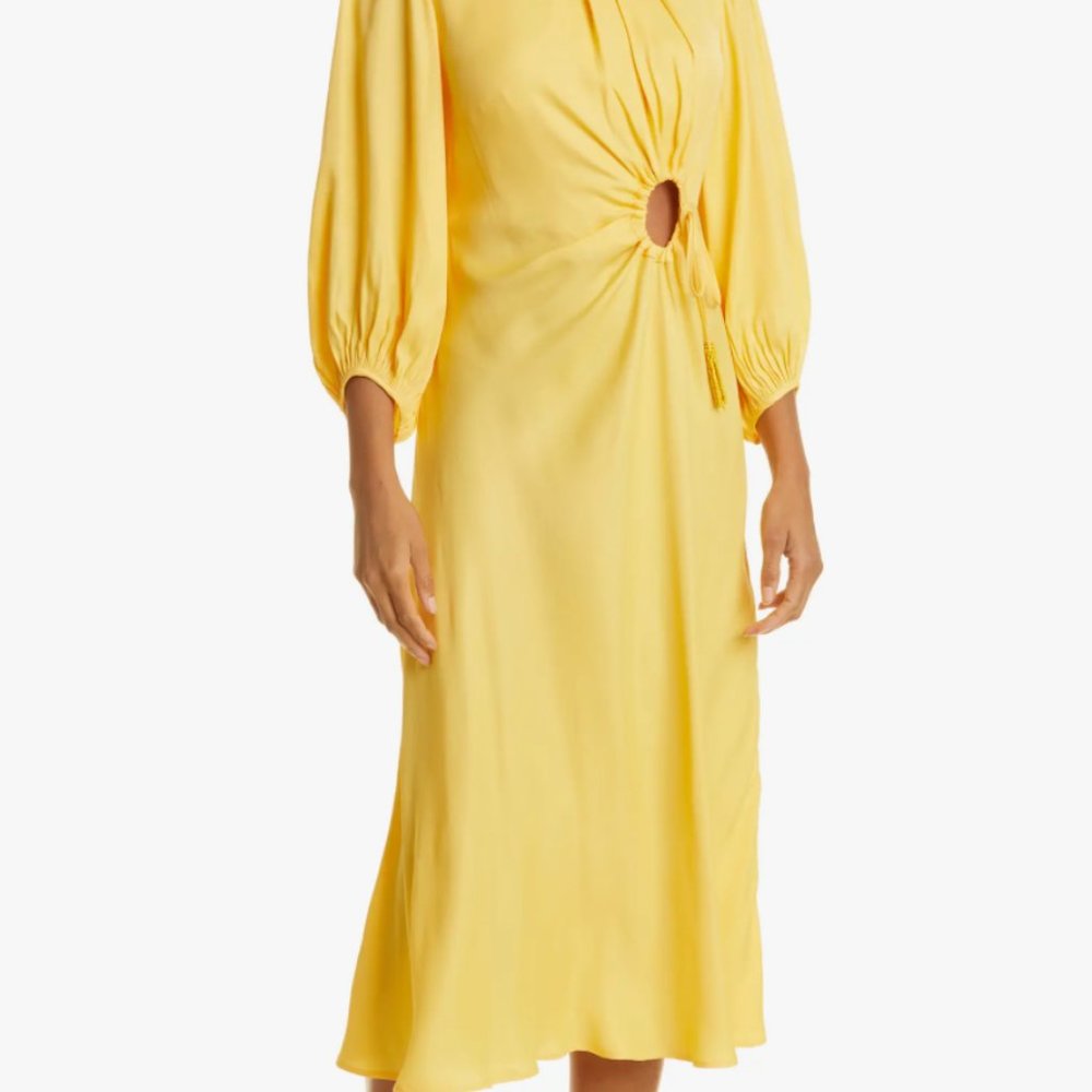 Farm Rio Cutout Dress!
